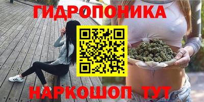 индика Гагарин