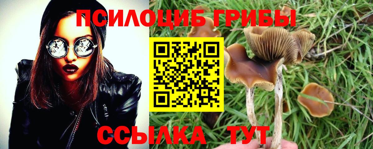 Галлюциногенные грибы MAGIC MUSHROOMS  Галлюциногенные грибы MAGIC MUSHROOMS  Вход с VPN  Бердск 