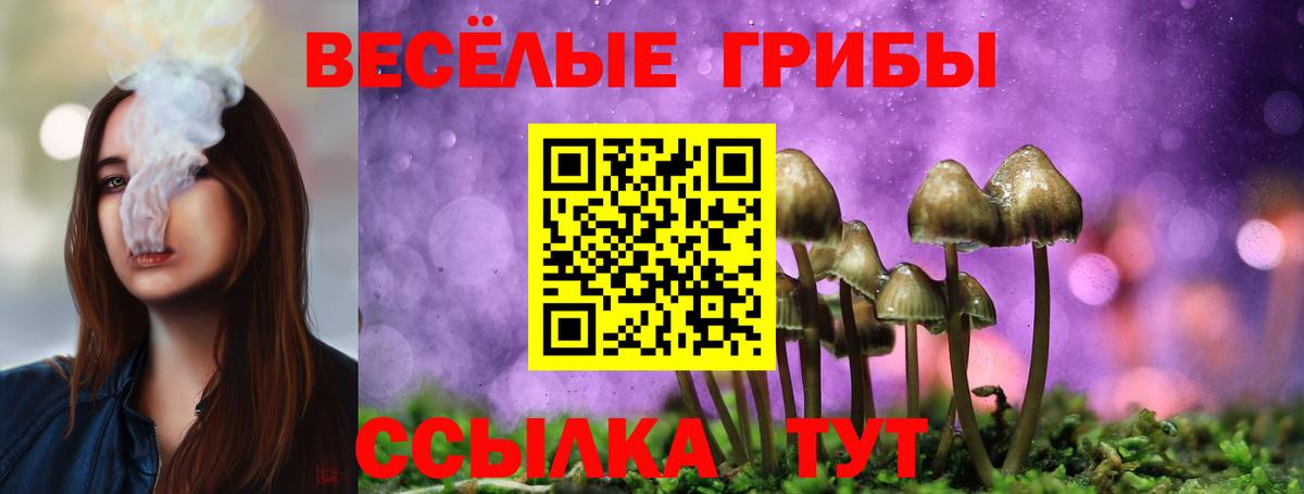 Галлюциногенные грибы прущие грибы Бердск