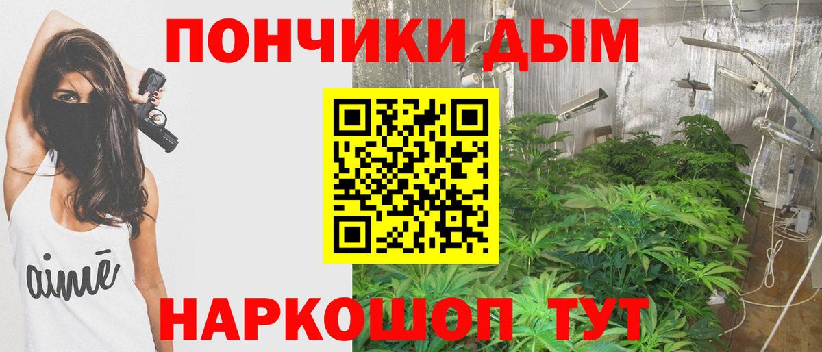 Бердск  Шишки марихуана Ganja  Вход с VPN  Марихуана марихуана  Шишки марихуана SATIVA & INDICA 